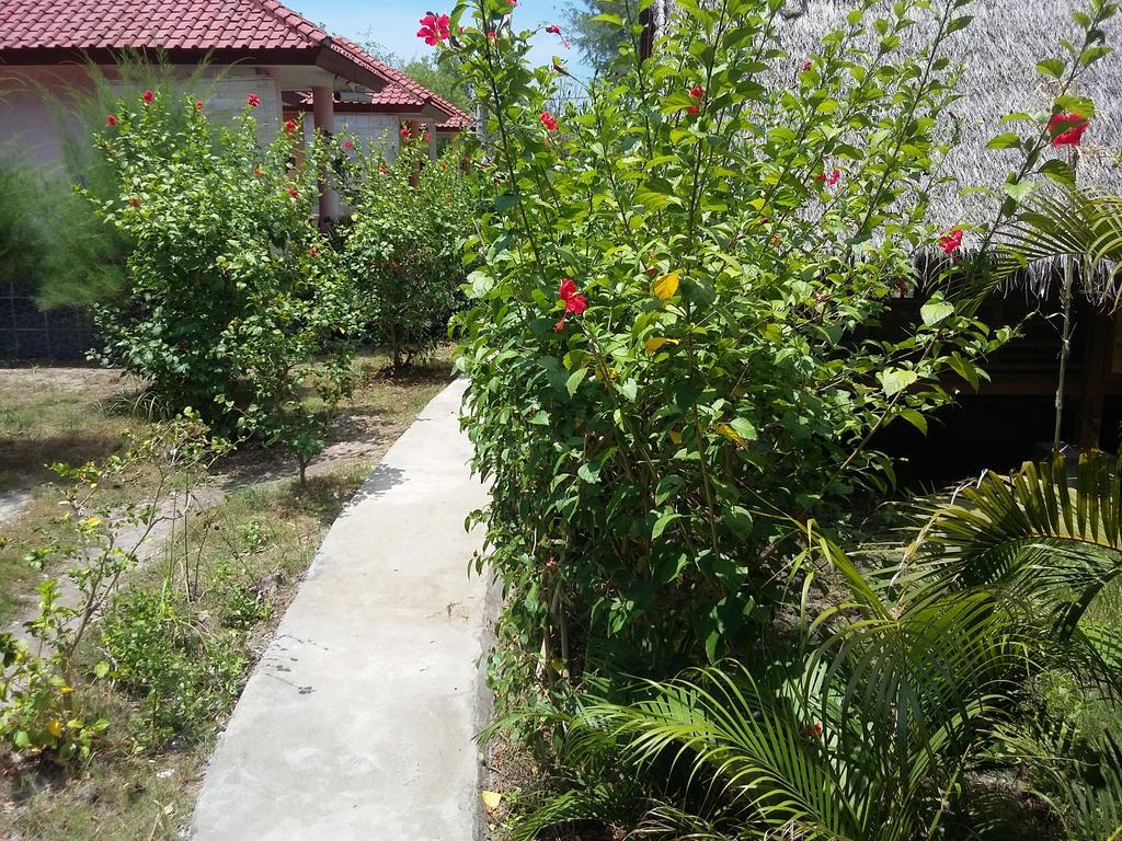 Kalinka Inn Gili Meno Luaran gambar